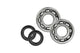 Kit roulements de vilebrequin (NTN Japan) + spys BUD RACING