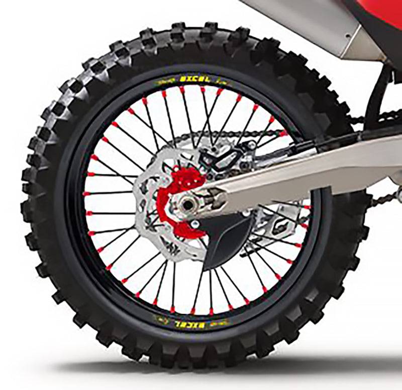 Roue arrière complète HAAN WHEELS - 18x2,15x36T