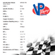 Carburant de course VP Racing MRX02 19l