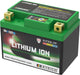 Batterie SKYRICH Lithium-Ion - LTX5L