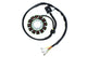 Stator ELECTROSPORT